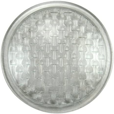 Pentair 79100100 Amerlite Clear Lens 8 3/8